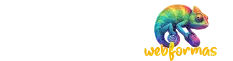 WebFormas — Empresa de Marketing Digital